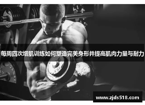 每周四次增肌训练如何塑造完美身形并提高肌肉力量与耐力