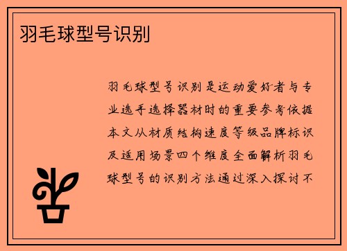 羽毛球型号识别